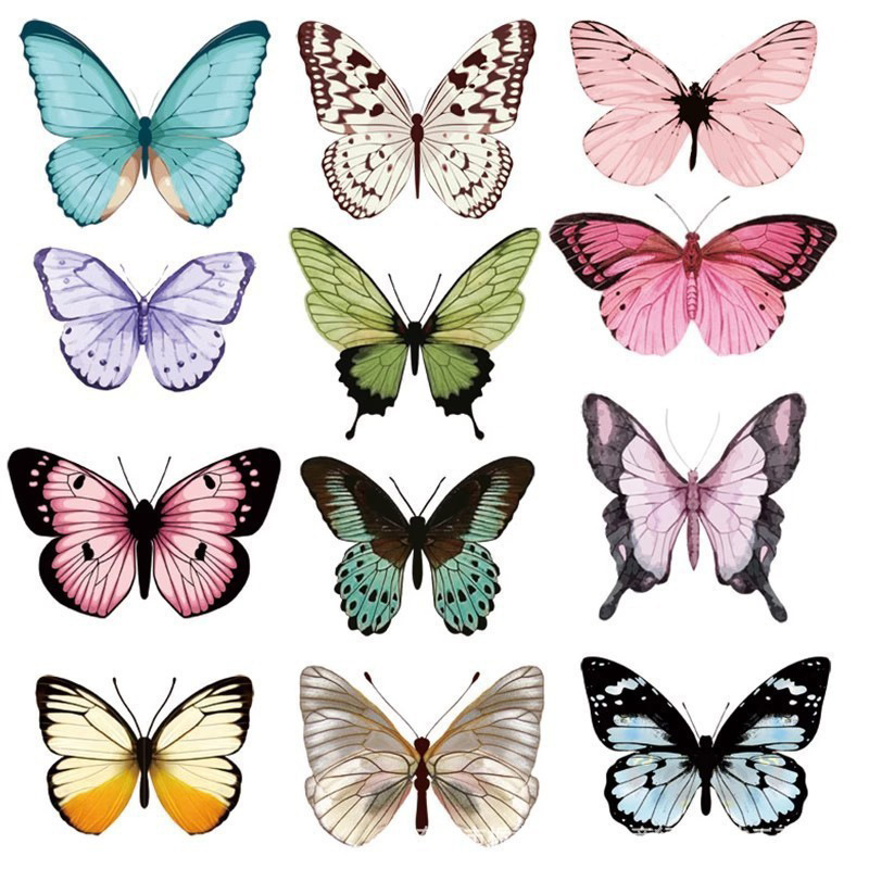 12 قطعة من ملصقات الحائط على ش - مراجعة Art Craft Earth Day وسعره